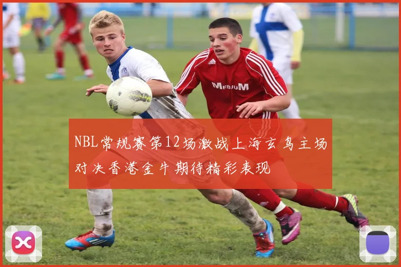 NBL常规赛第12场激战上海玄鸟主场对决香港金牛期待精彩表现