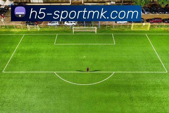 多媒体互动体验