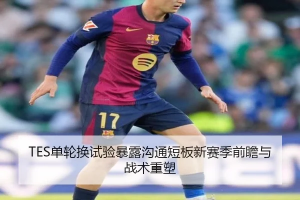 TES单轮换试验暴露沟通短板新赛季前瞻与战术重塑